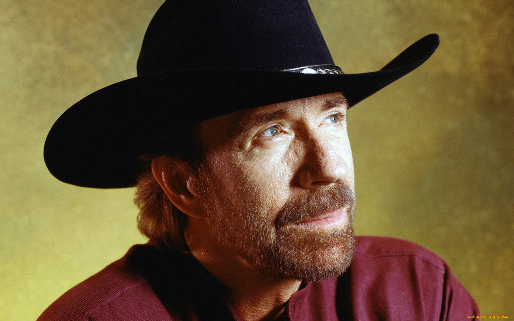 chuck, norris, 